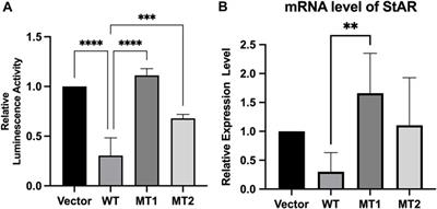 Novel FOXL2 variants in two Chinese families with blepharophimosis, ptosis, and epicanthus inversus syndrome